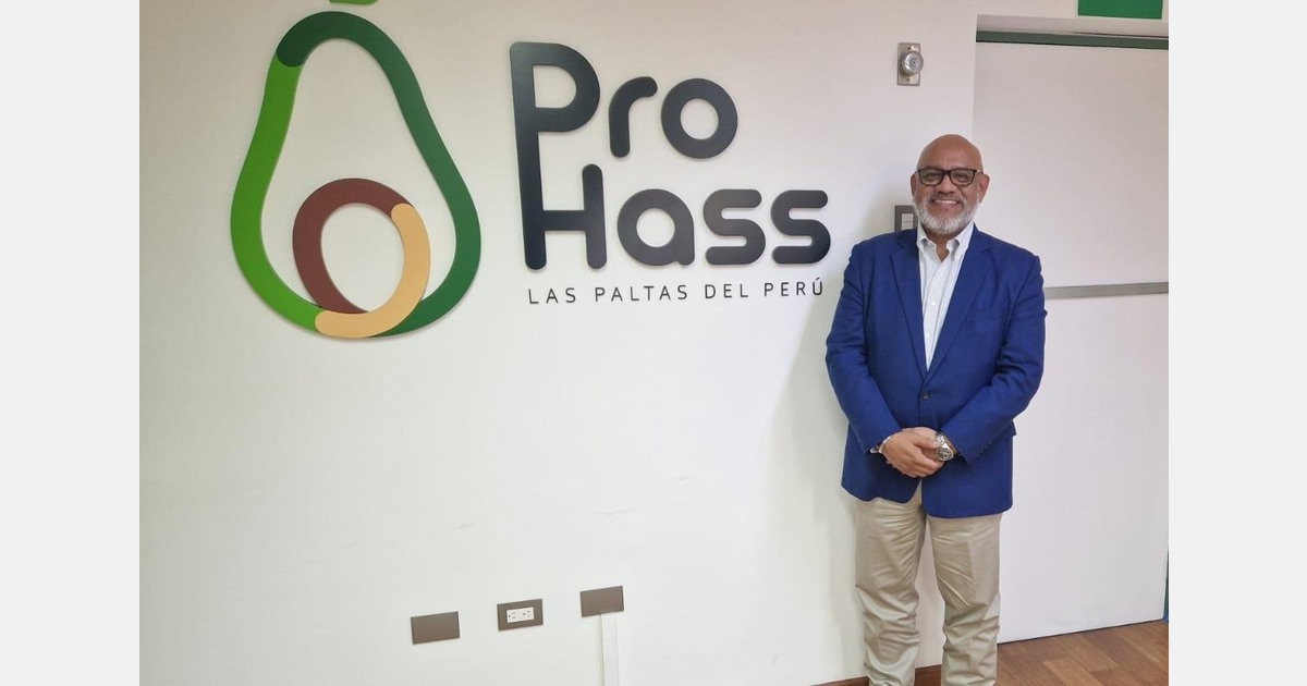 "No export fruit has as much social impact in Peru as Hass avocado"