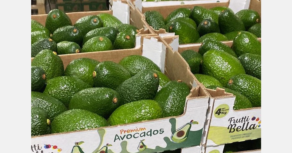 "Asia pays very well for avocados in the early months of the year"