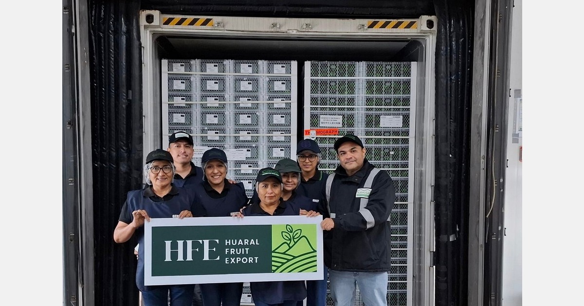 In 2025, Peruvian avocado exports to Japan increased by more than 75 percent