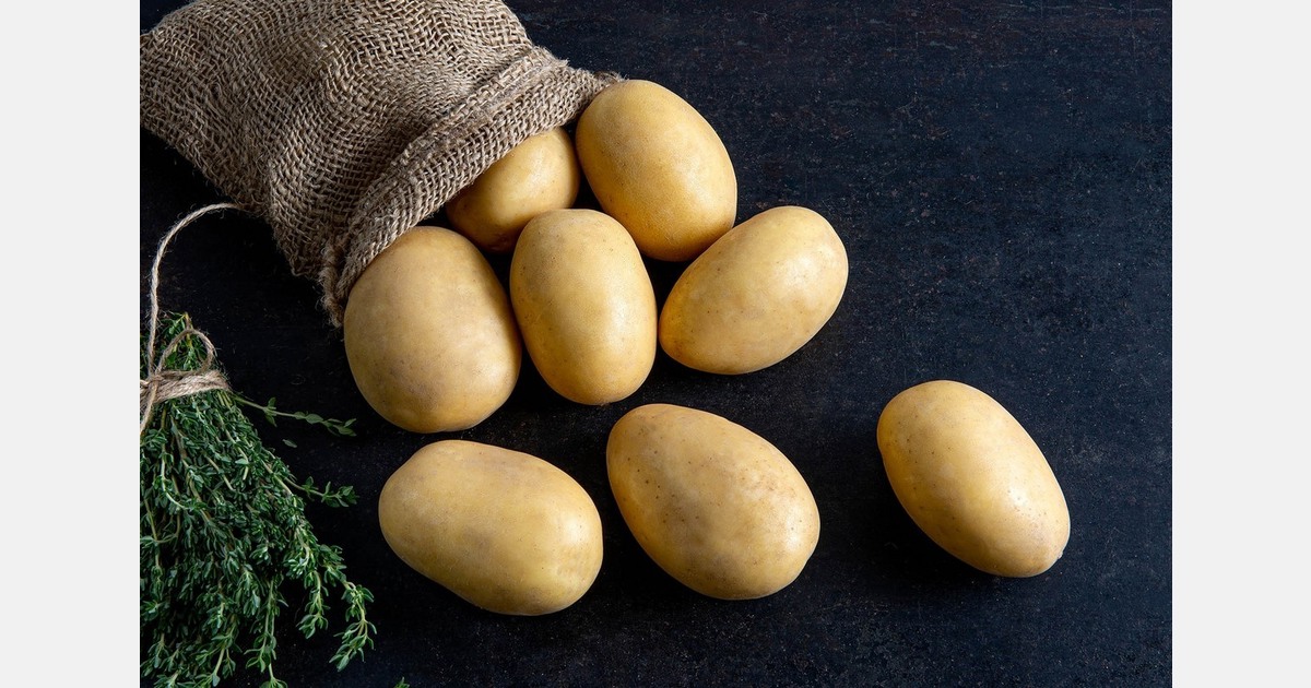 "The current market situation requires well-established, versatile potato varieties"