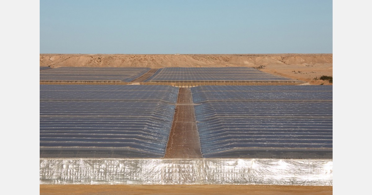 "Ensuring the EC-Morocco Agreement is not ratified is crucial for the survival of Spain's tomato industry"