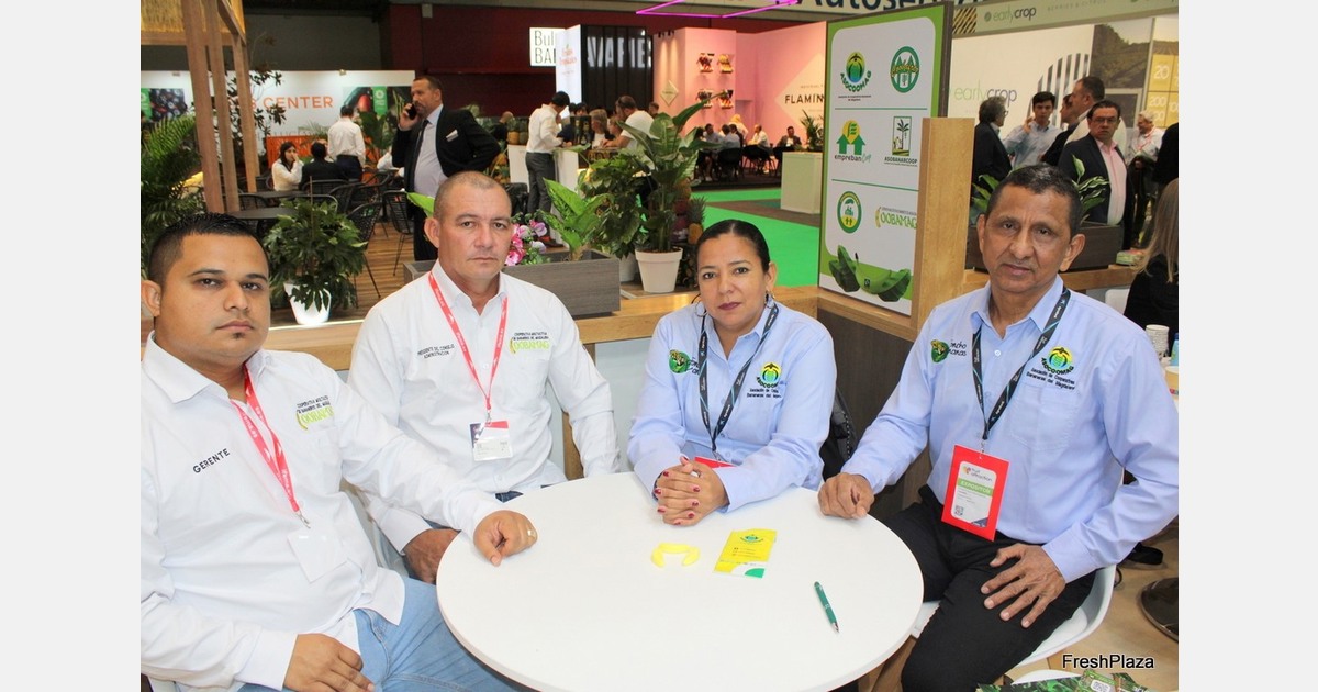 Magdalena producers ask for actual costs of Colombian bananas to be acknowledged