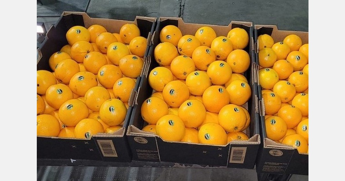 "The competitiveness of Argentinian oranges depends more on quality than on volumes"