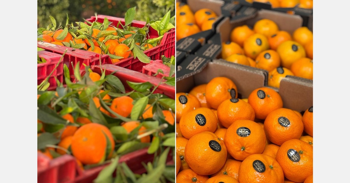 "Prices at the source are rising above acceptable levels for the market"