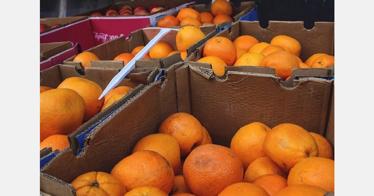 EU rejections of third-country fruit and vegetable imports with unauthorized active substances rose by 6.5% in 2025