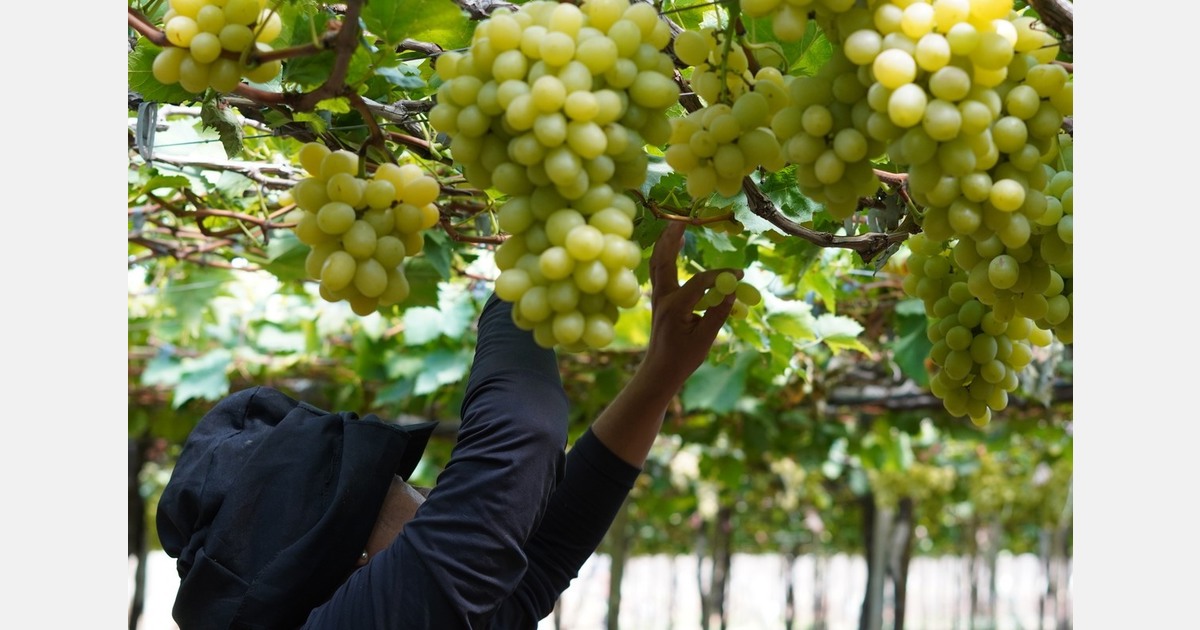 "A 50% tariff practically drove us out of the U.S. market"