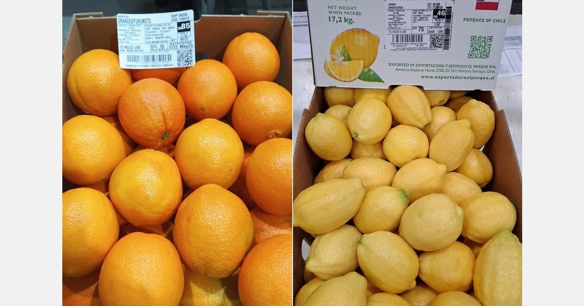 "We expect similar volumes of lemons and oranges with an early harvest"