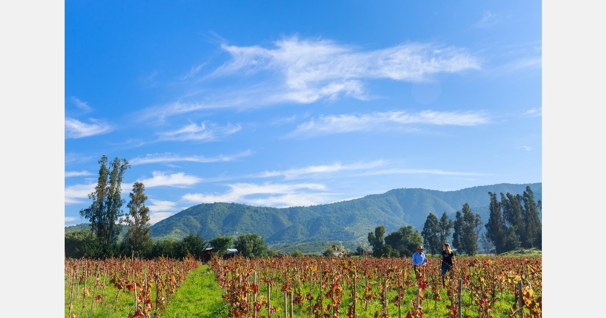 "German customers prioritize long-term relationships and trust"