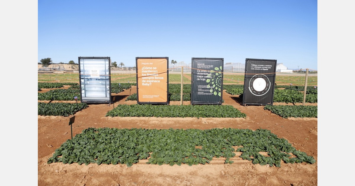 Leafy PopUp debuts outside the Netherlands with a first edition in Spain