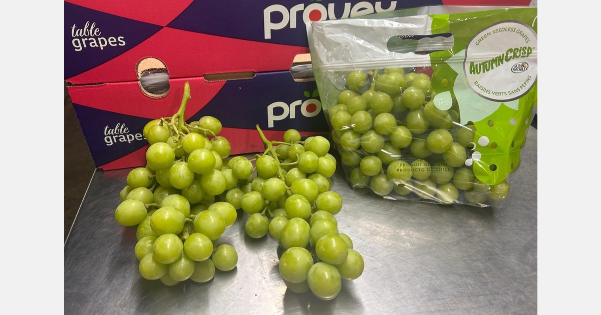 "It's going to be a very challenging grape season, possibly more than last year"