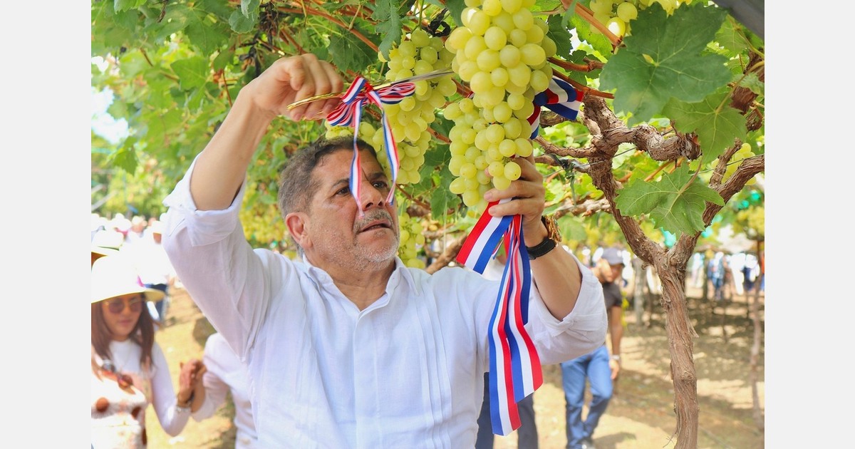 Dominican Republic ends 2025 with record exports and diversifies its offer with table grapes