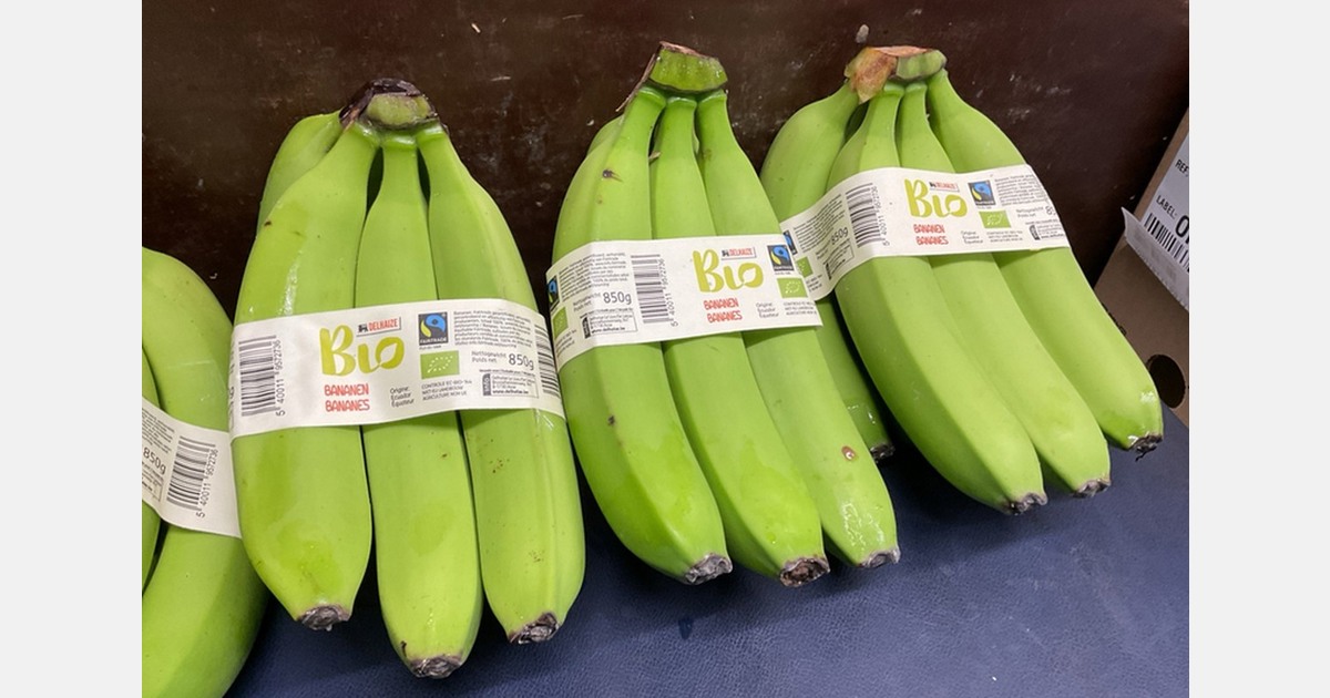 "We've developed and are selling compostable labels for fruits"