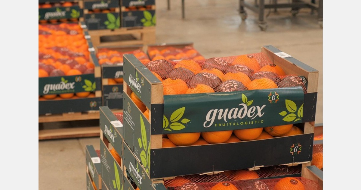 "The lower citrus supply, exacerbated by the weather, has kept prices high"