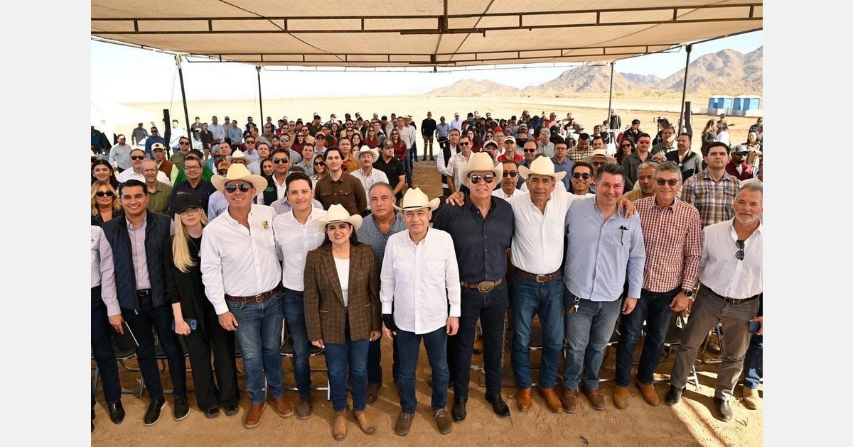 Asparagus season kicks off in Caborca