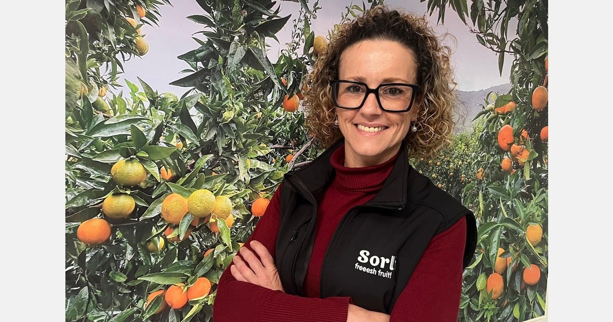 Продажи цитрусов в Испании замедлились из-за импорта из Египта