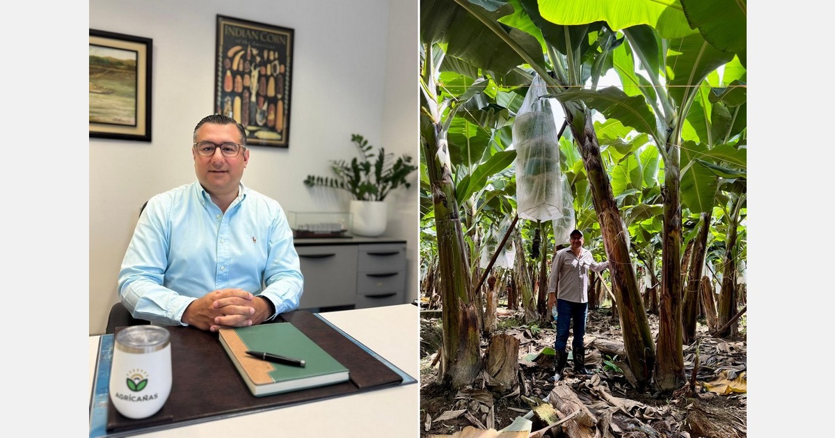 "Banana producers who aren't working with the soil's biological components will likely fall behind"