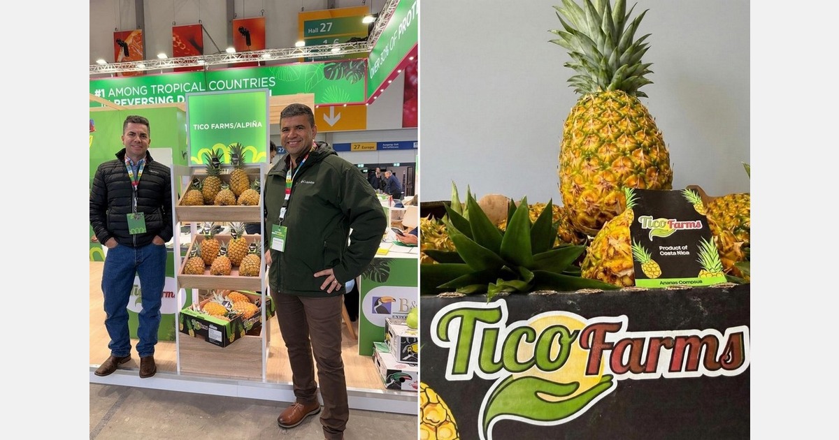 "We are our biggest competitors in the pineapple industry"