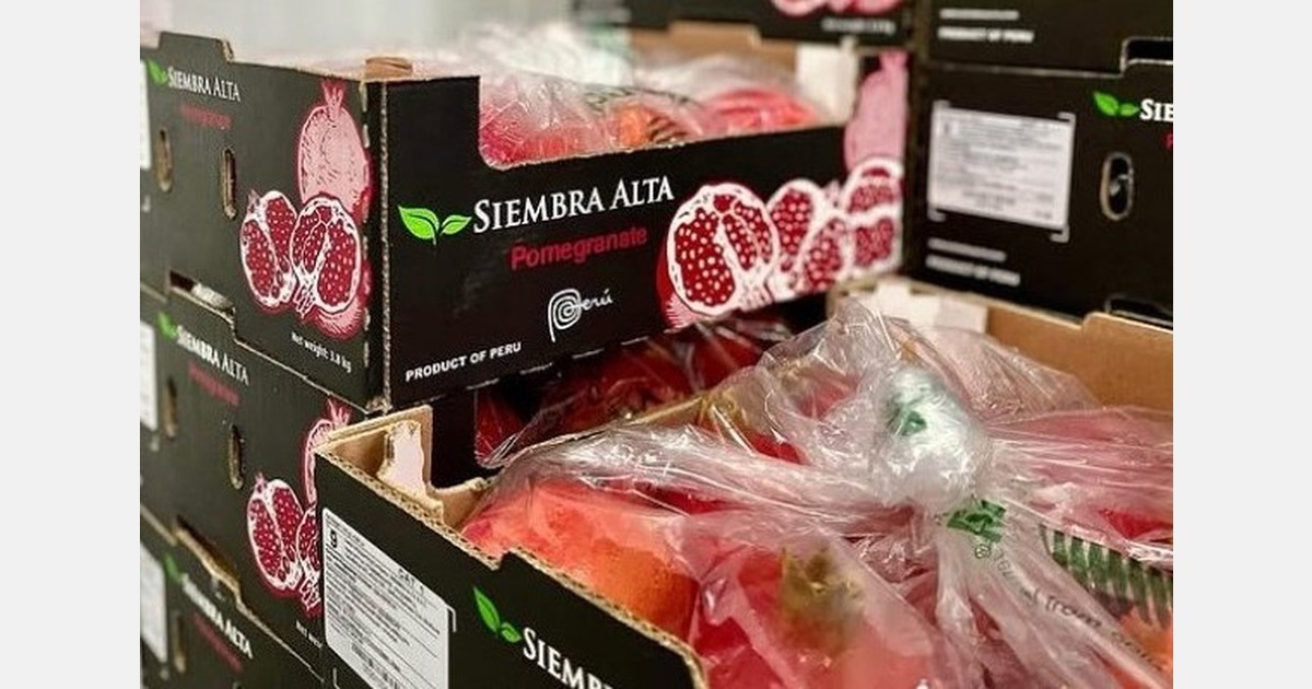 Increased pomegranate production in Peru puts stability of European market to the test