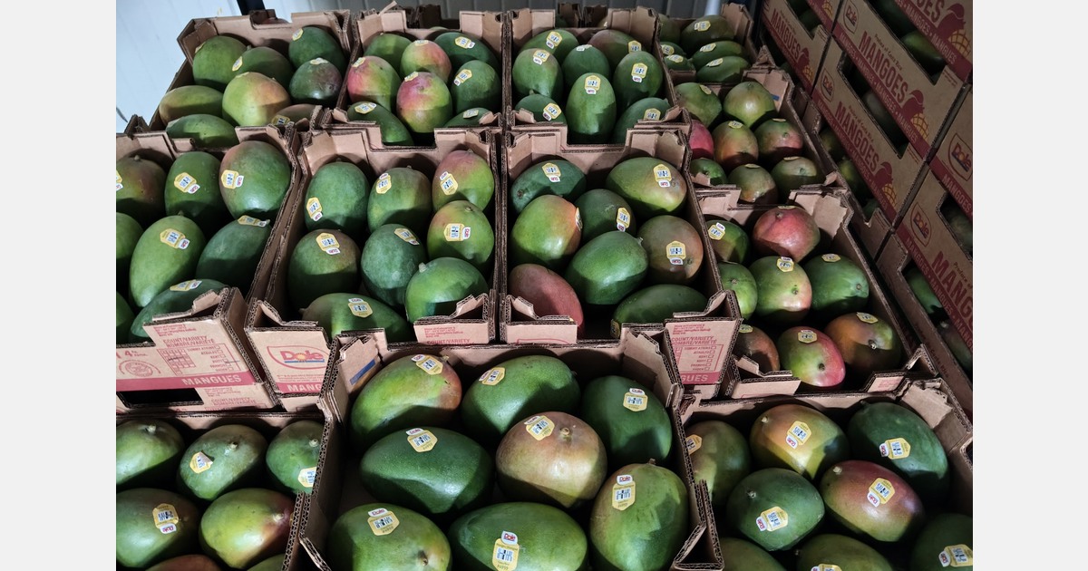 Against the mango giants: How Costa Rica carves out a niche between Peru and Mexico