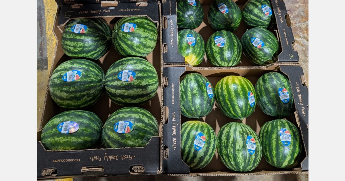 Demand from European buyers for mini watermelons has grown year on year