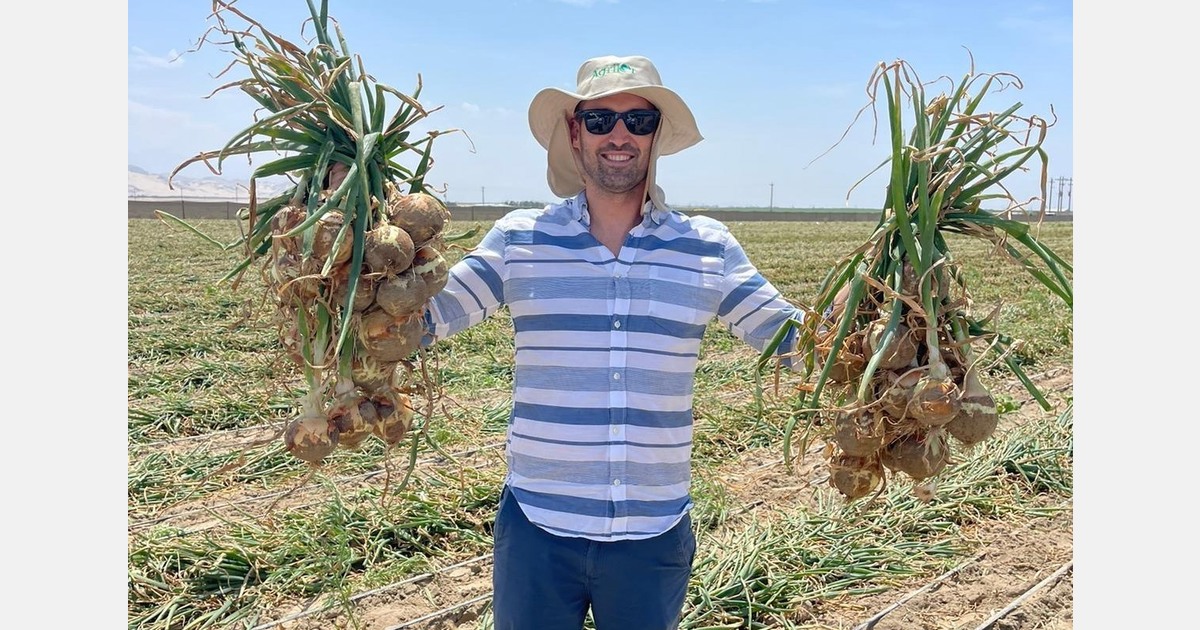 "The Campolindo variety from Peru is possibly the best onion in the world at this time of the year"