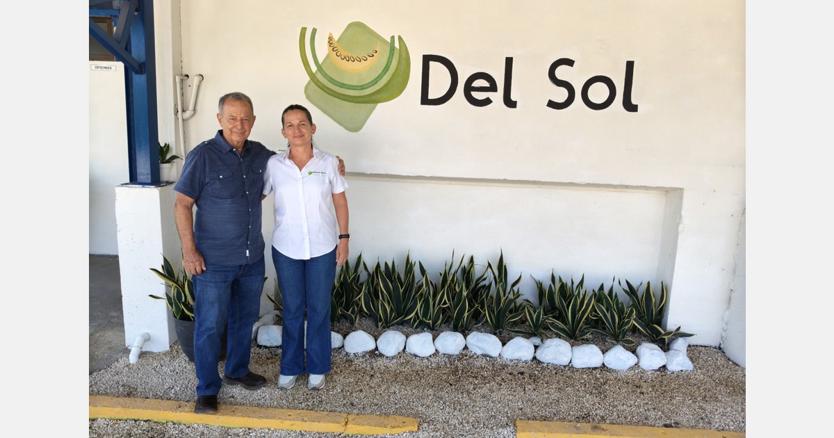 Costa Rican melons capitalise on the narrow trading window between Brazil and Spain