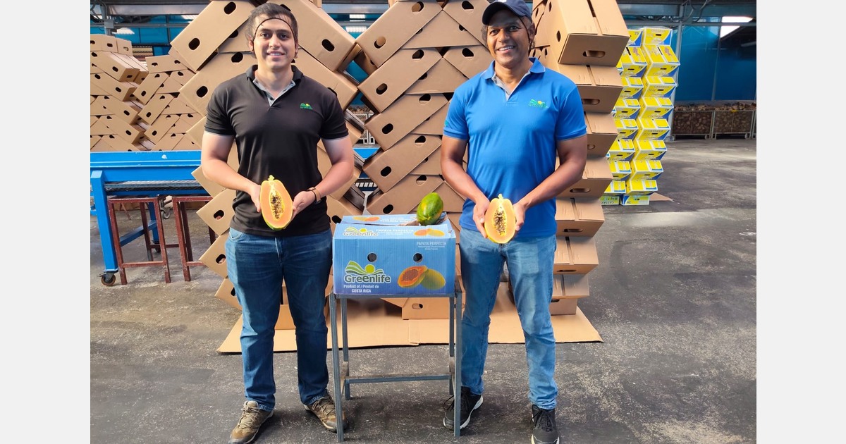 "Smaller than most, the Pococí papaya variety makes up for it in flavour"