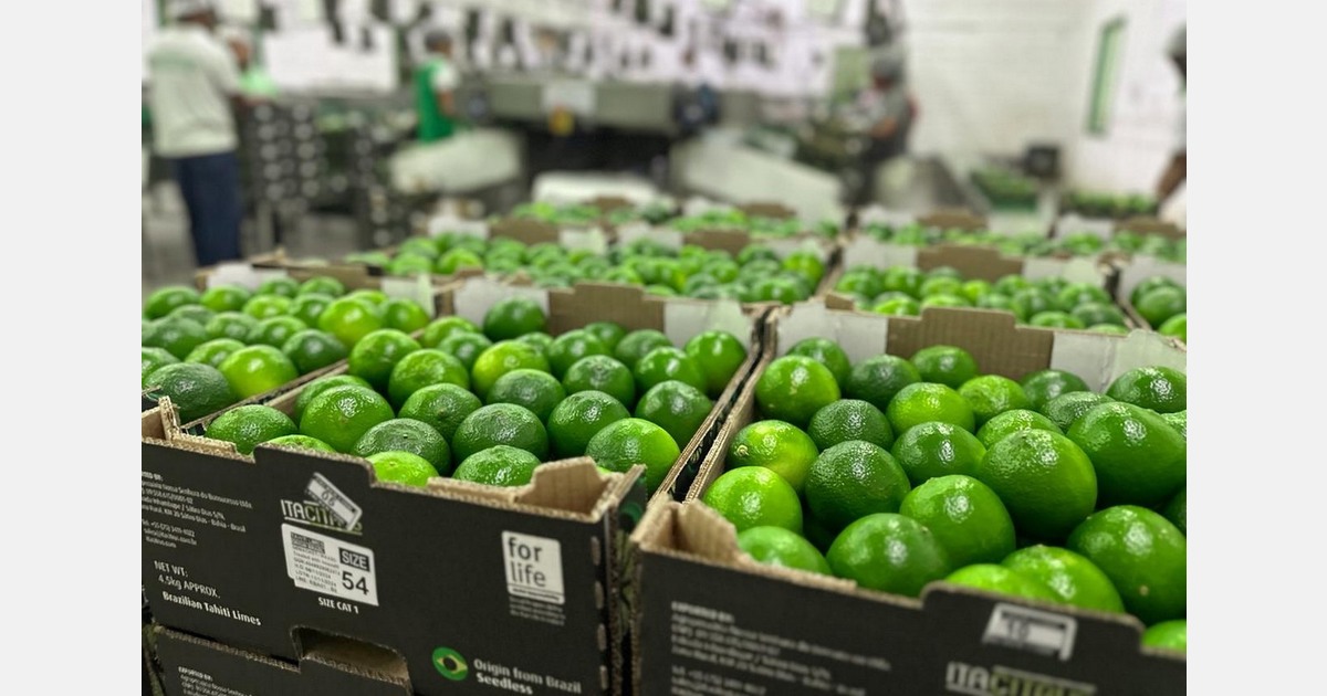 "Brazil is the only country supplying limes to Europe all year round"