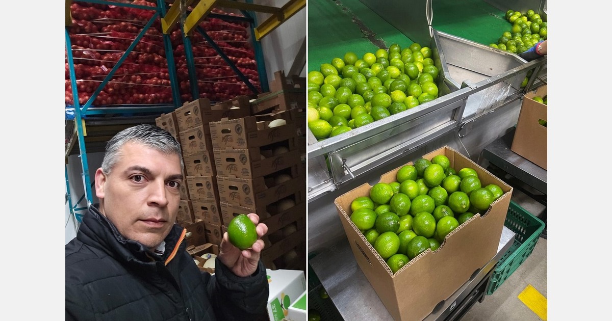 Smaller volume from Mexico and more opportunities for Colombia in Tahiti lime market