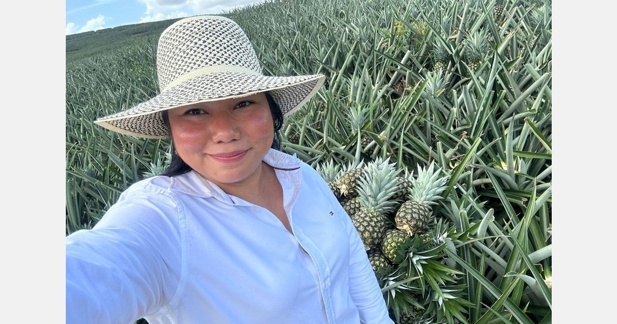 "Small pineapples used to stay in the local market; now they are highly demanded by Turkey"