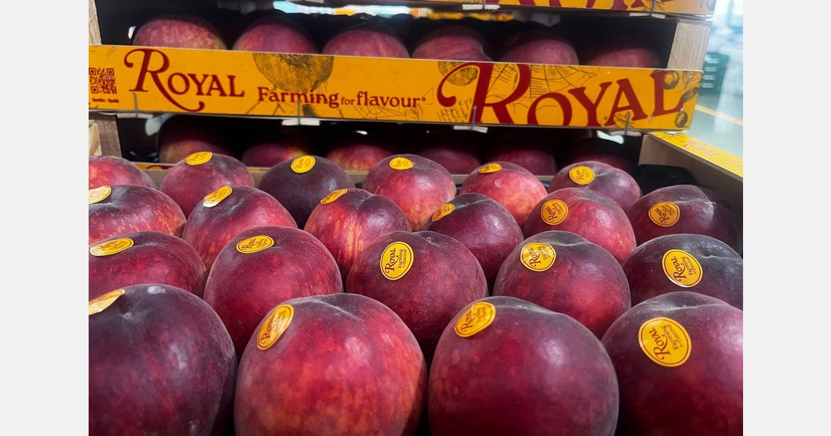 Consumers will be able to enjoy stone fruits in April that have flavors associated with summer