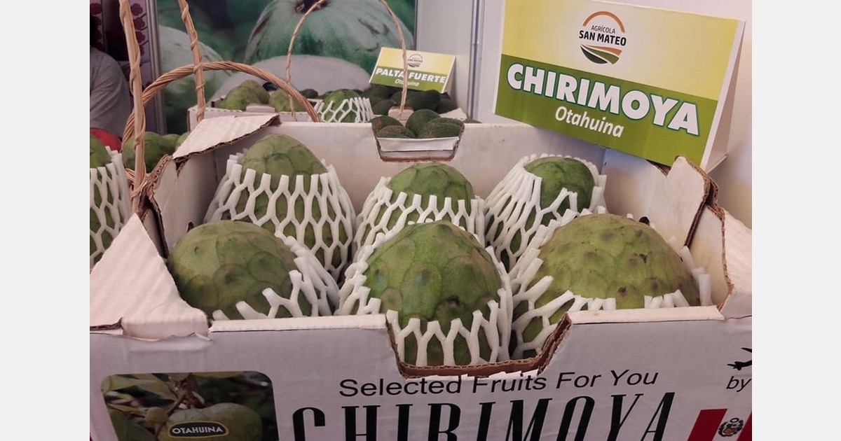 "We want to start working with frozen products and pulp made from discarded fruit"