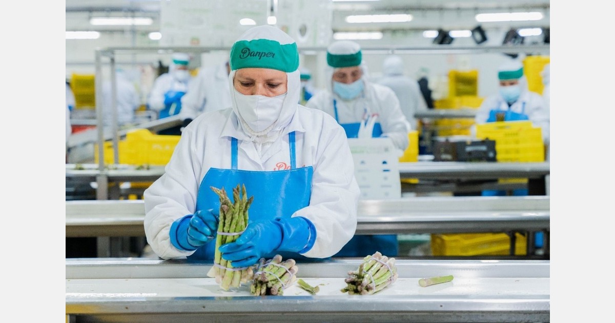 Global asparagus supply remains tight, and prices are expected to rise in 2026