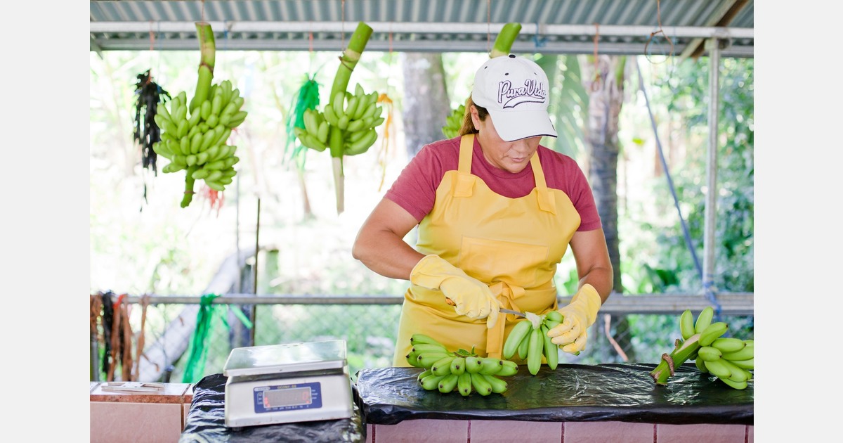 How Costa Rica approaches marketing and consumer outreach: From Alexa to in-store supermarket tastings