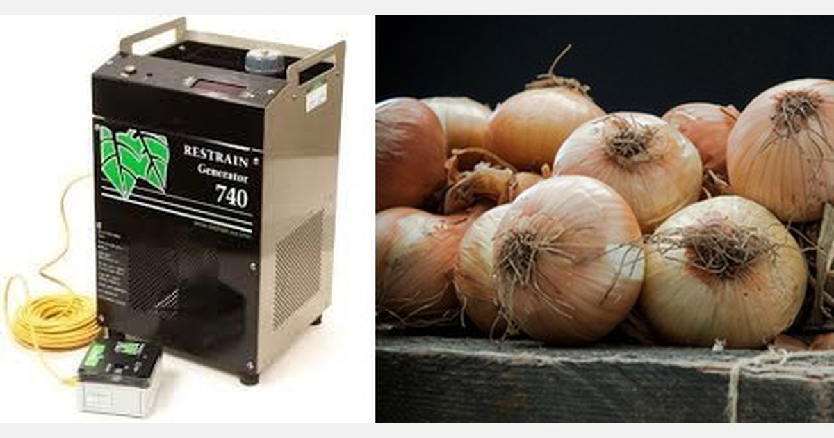 Ethylene to delay the germination of onions