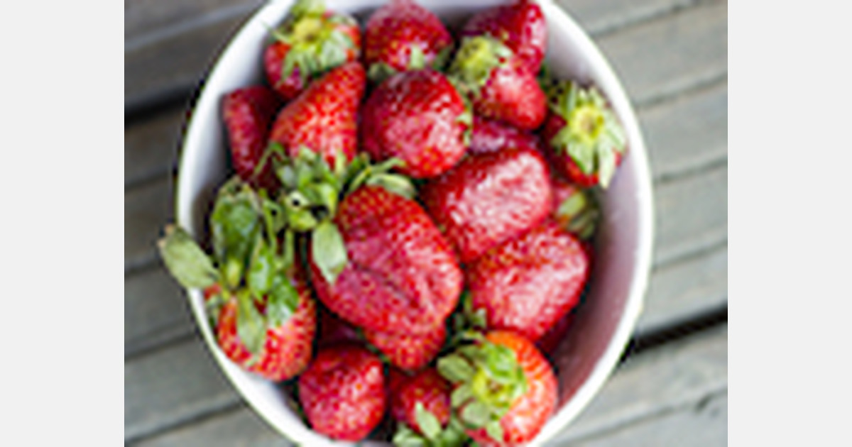 Quebec First strawberries available in May
