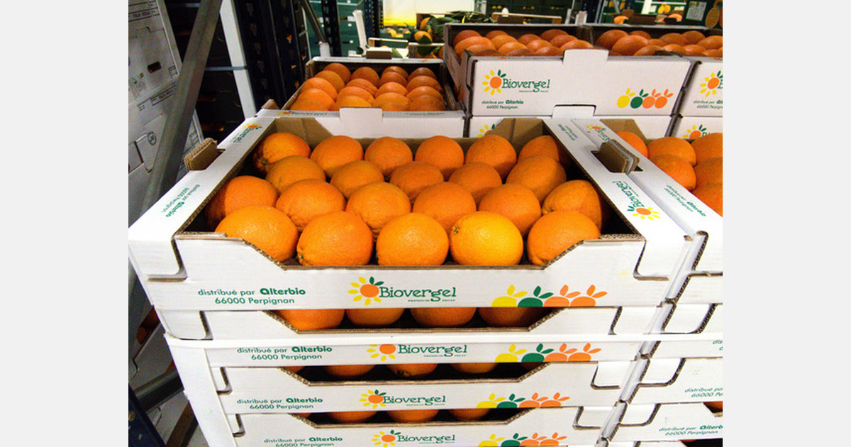 “The organic citrus fruit season is at its peak”