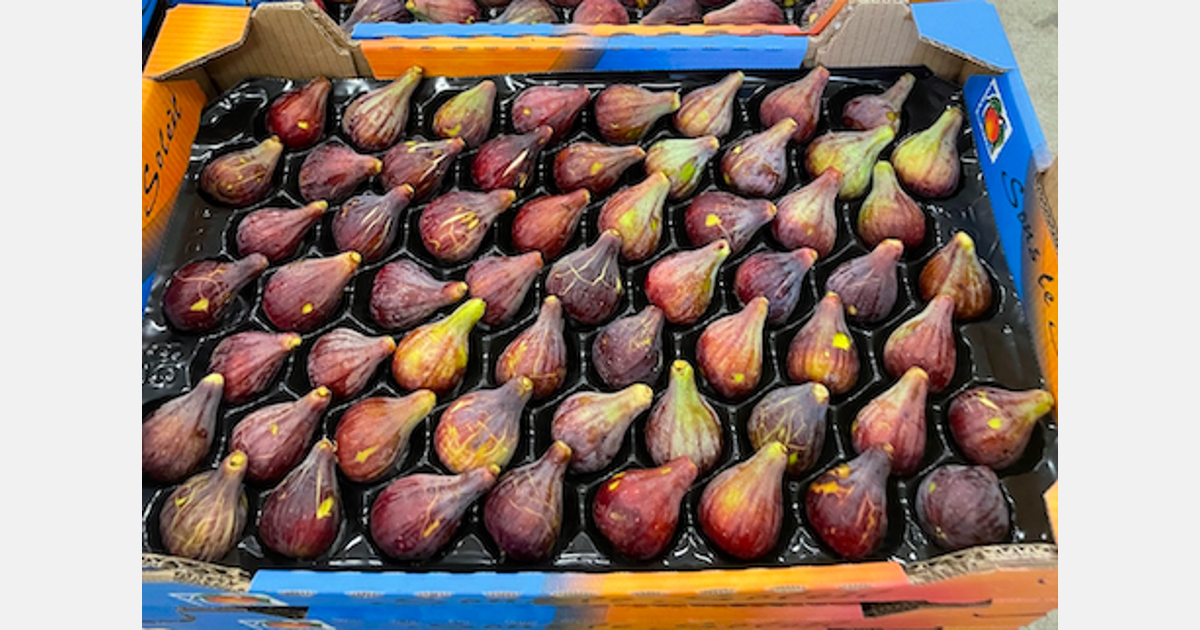 Quagmire Engager Guvernør Fig production is booming in France