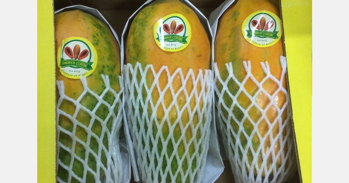 Relative stability on generally complicated papaya market