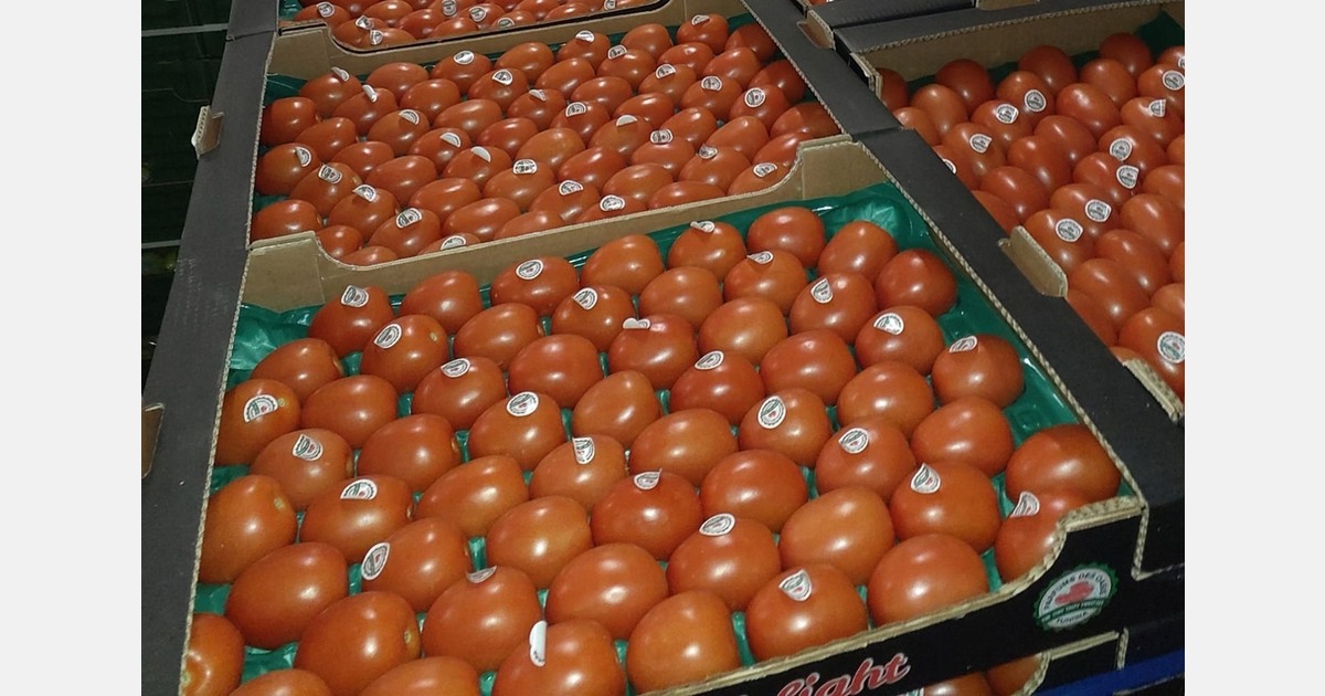 "Roma tomatoes could stand out in a highly contested market"