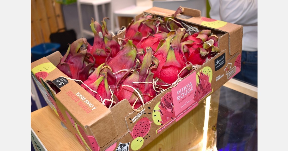 Pitaya: the next trendy fruit "made in France"?