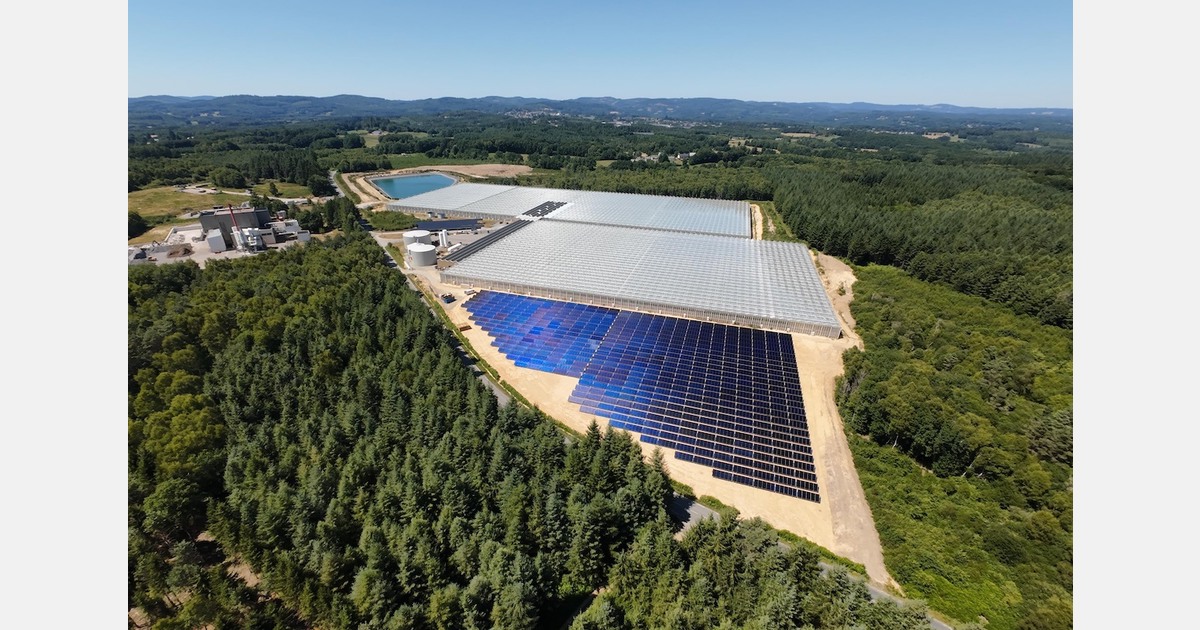 Solar thermal energy sector reaches milestone with largest thermal power plant for greenhouse production