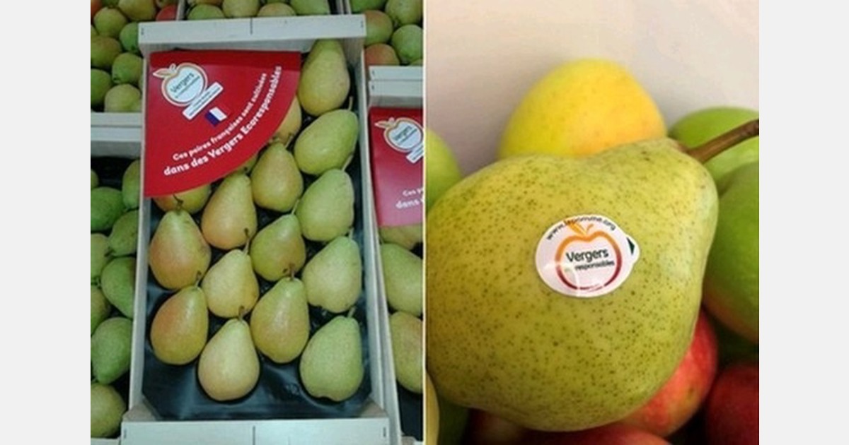 Supermarkets support the French origin in the pear campaign