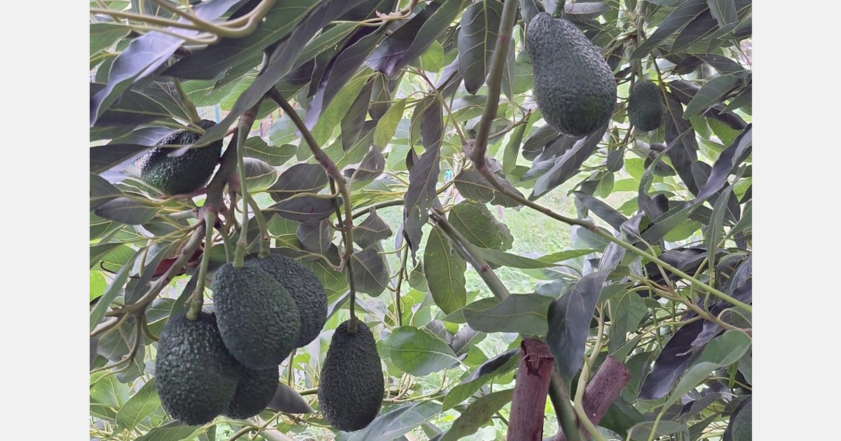 "We need to prepare tomorrow's production"