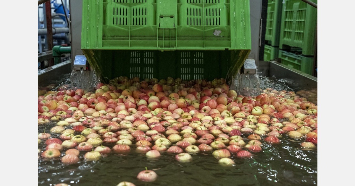 The French apple and pear sector sets 4 preconditions