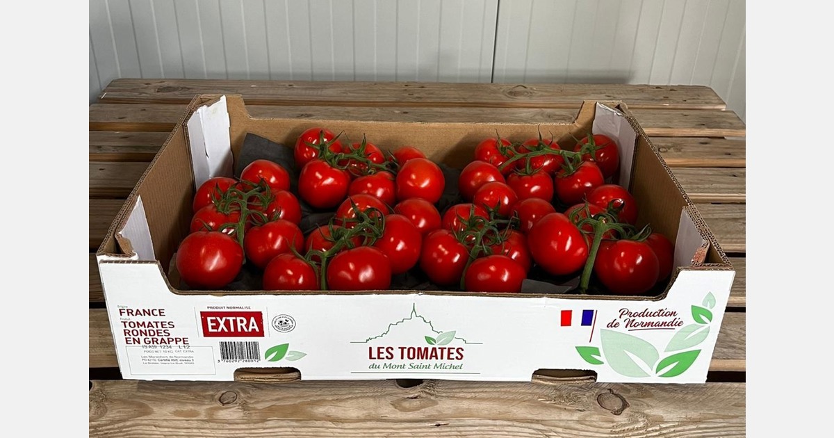 "The market is favorable for French tomatoes in the run-up to Christmas"