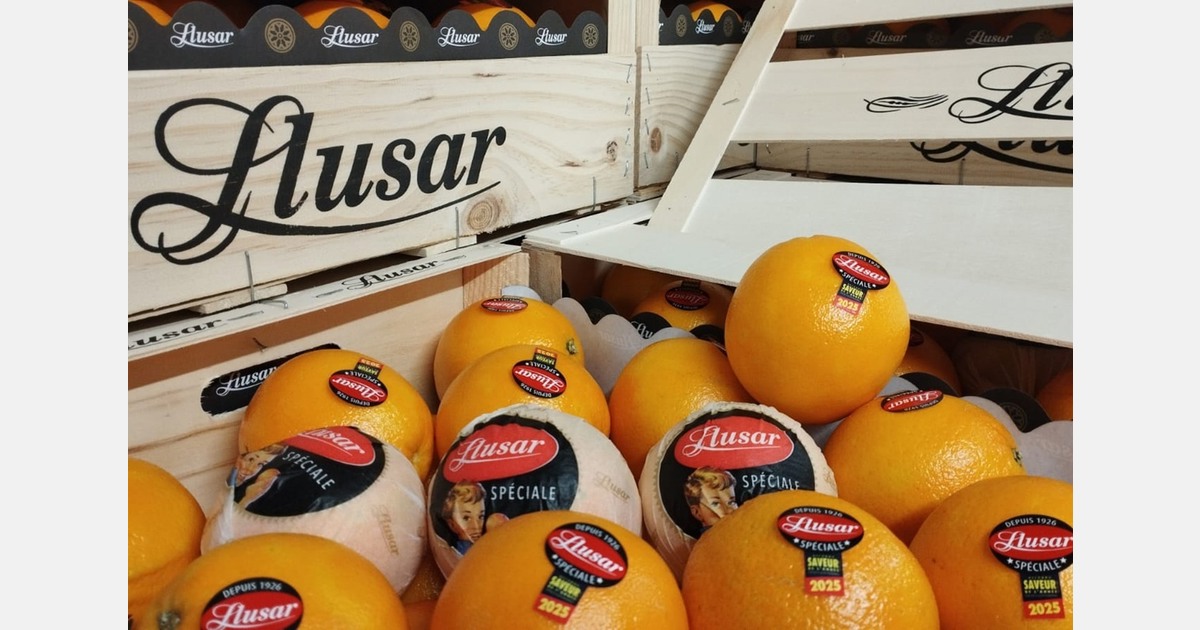 "In this depressed market, we try to steer our clients towards oranges"