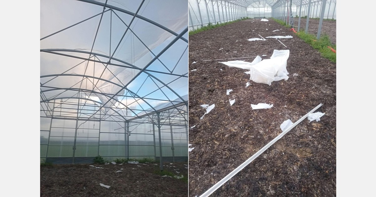 Several French farms affected by storm Goretti