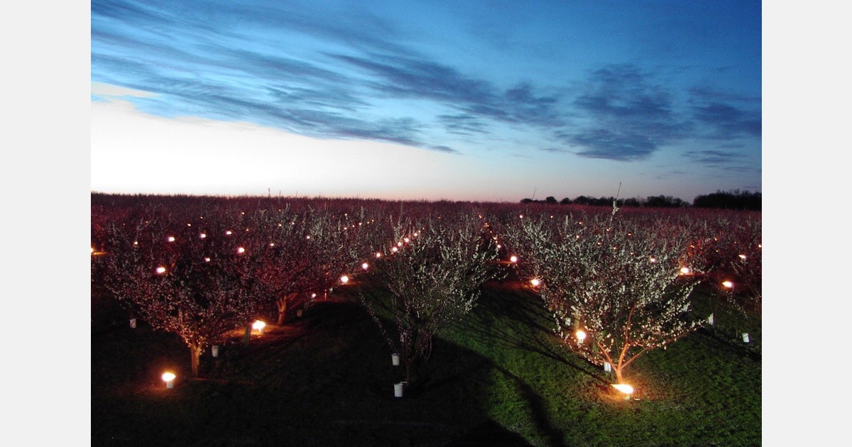 "Our Plastoflex 71 anti-freeze candle has become a benchmark in the face of climate uncertainty"