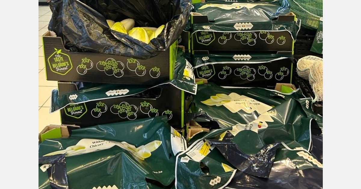 "For just a few cents less, some stores prefer Belgian endives"